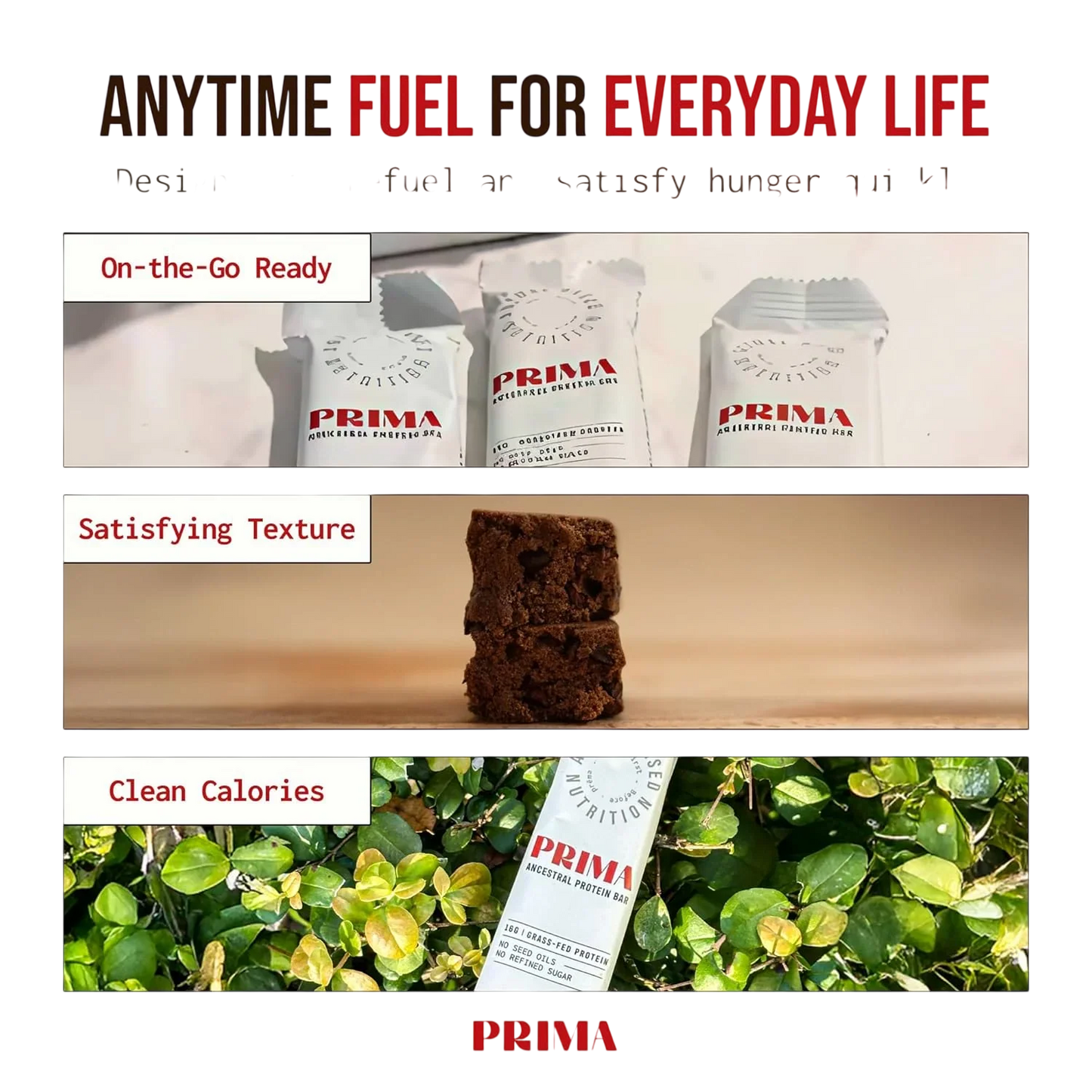 Ancestral Protein Bar - Cacao (7 Pack)