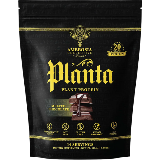 Chocolate Plant Protein