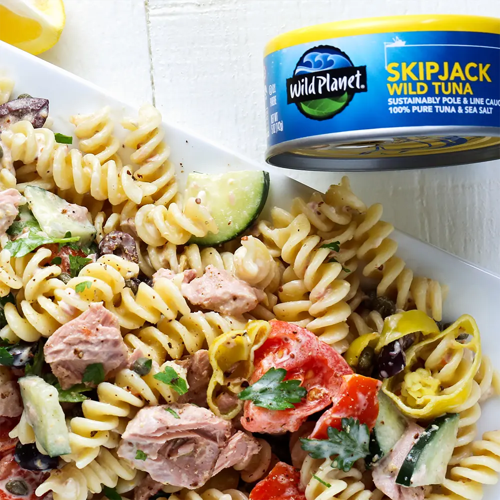 Skipjack Wild Tuna