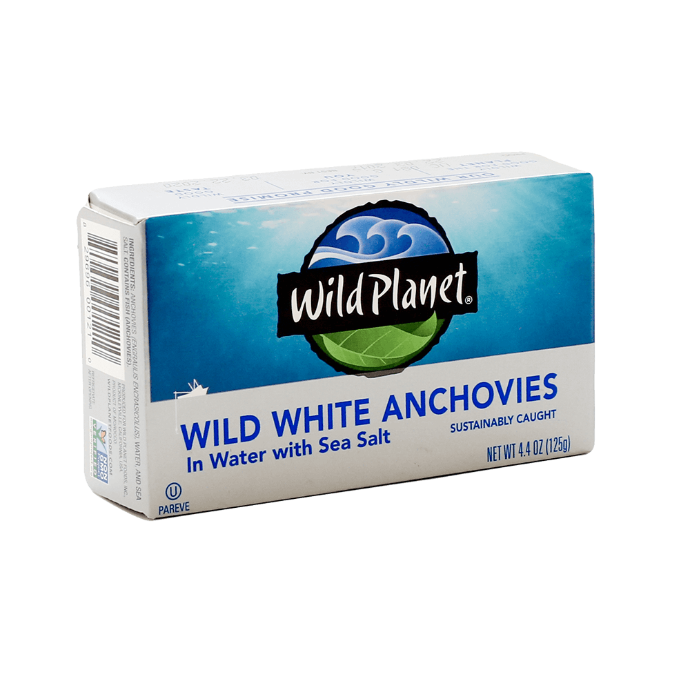 Wild White Anchovies In Water