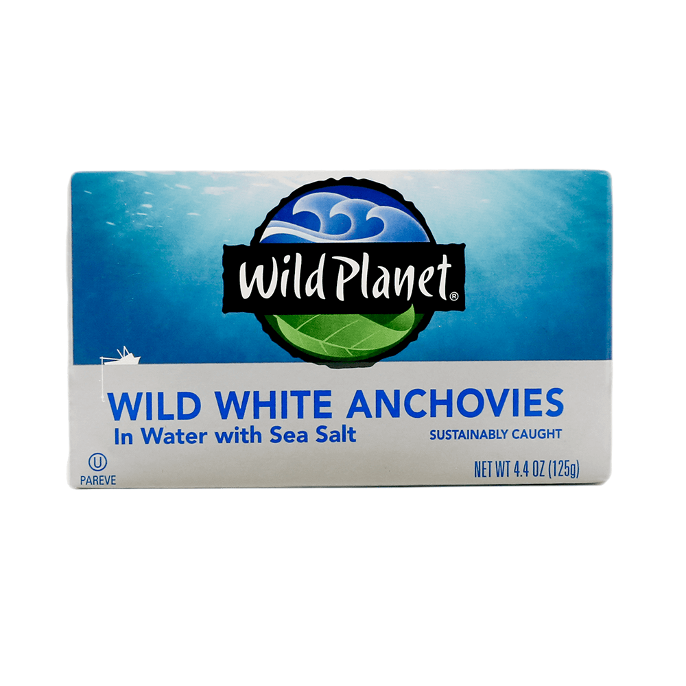 Wild White Anchovies In Water