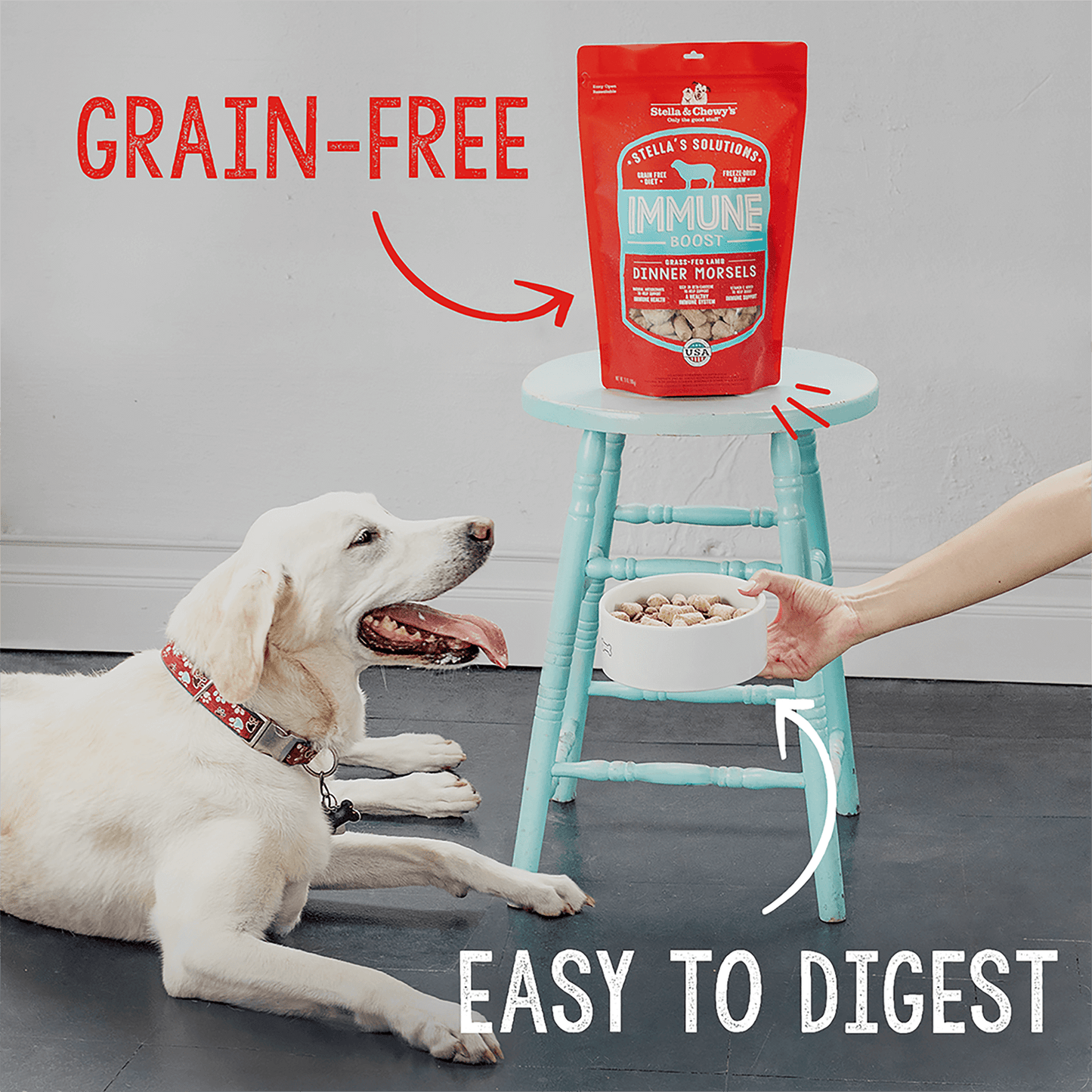 Stella’s Solutions Digestive Support for Dogs