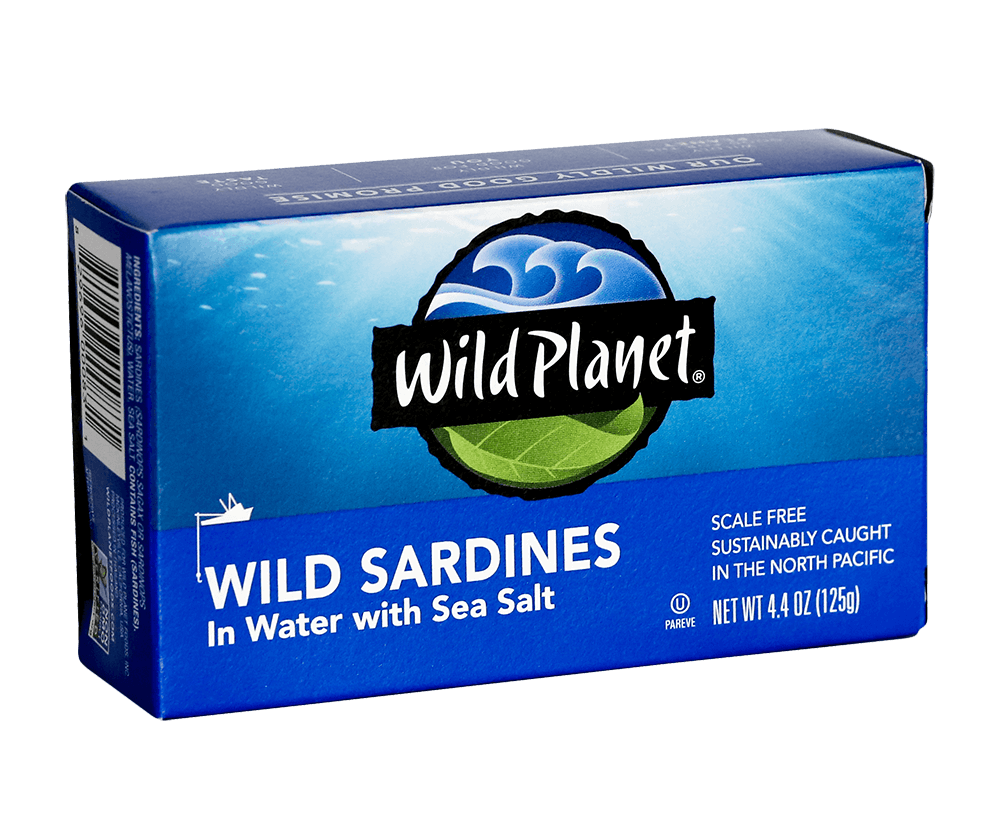Wild Sardines In Water