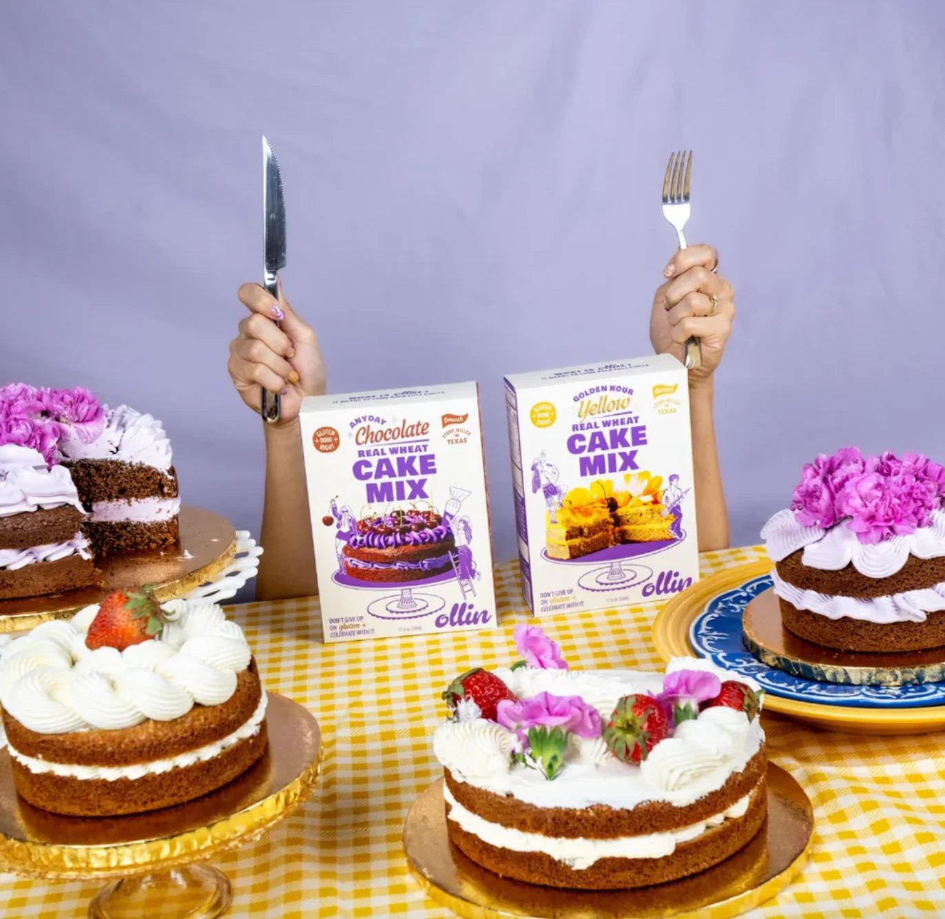 Anyday Chocolate Cake Mix