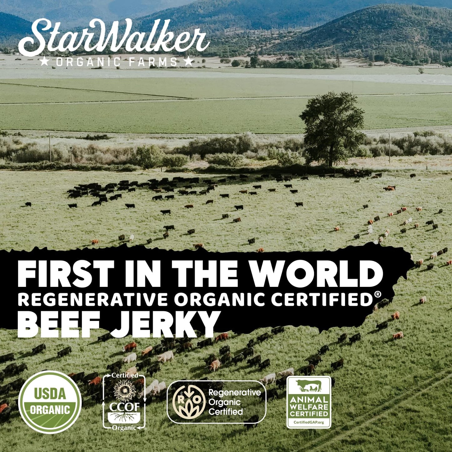 Simply Salt and Pepper Beef Jerky